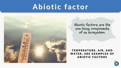 Abiotic Factor Definition And Examples Biology Online Dictionary
