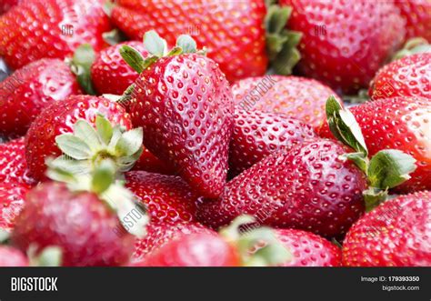 Close Strawberries Image And Photo Free Trial Bigstock