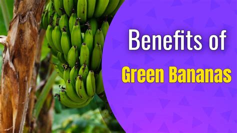 6 Health Benefits Of Green Bananas Youtube