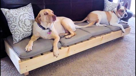 Modern Platform Dog Bed Large Dog Bed Diy How To Youtube