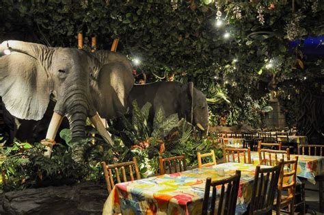 Rainforest Cafe Soho Sugarvine The Nations Local Dining Guide