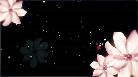 Hd wallpapers and background images. Flower background full hd - Wedding Background Video ...