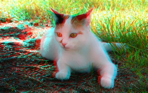 3d Red Blue My Kitty By Mutilator Of Cookies On Deviantart