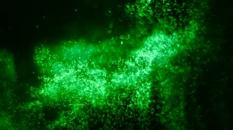 Green Magical Background Motion Graphics Videohive