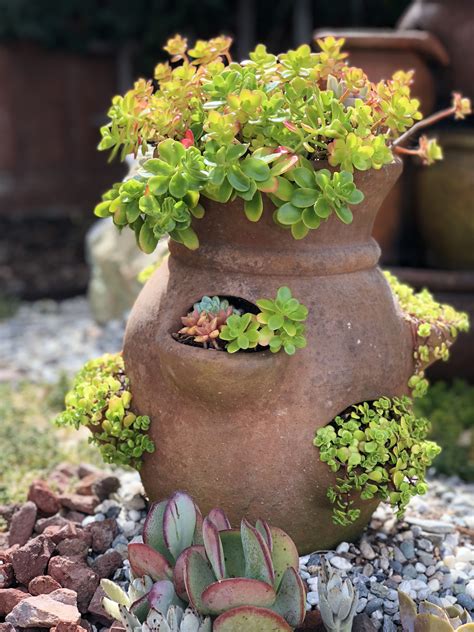 Strawberry Pot Turned Succulent Planter😊 Strawberry Pots Succulents