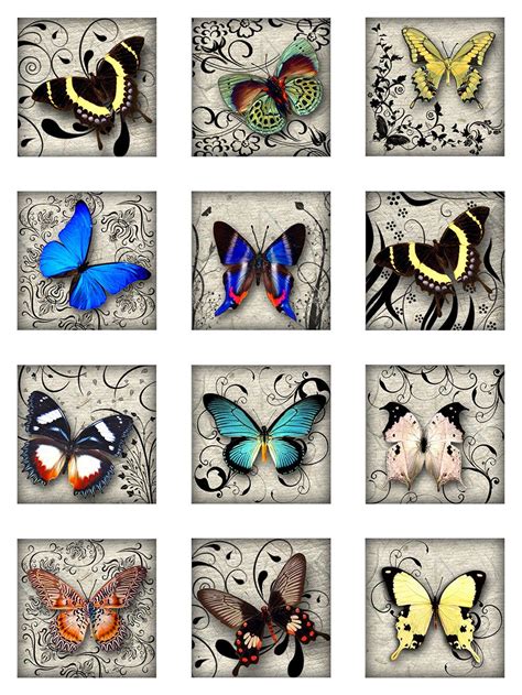 Butterflies Swirls 1 And 2 Inch Square Digital Images