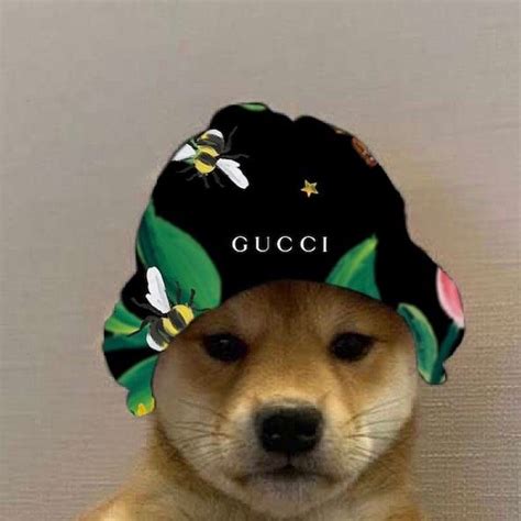 Gucci Credit Me If Use Want One Made Dm Me Tags Dogwifhatgang D