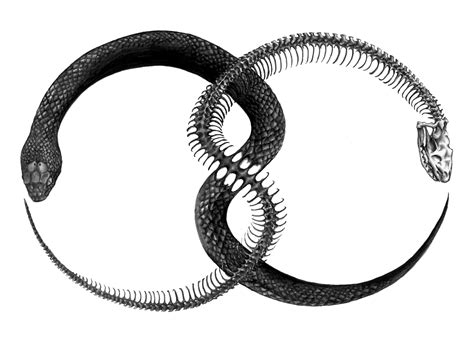 Ouroboros Tattoo A Circular Symbol Depicting A Snake Or Less Commonly