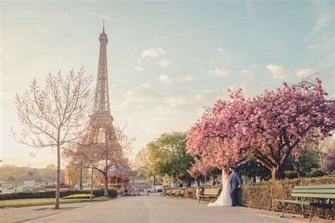 Go on to discover millions of awesome videos and pictures in thousands of other categories. 5 tips to plan your cherry blossom wedding in Paris - The ...