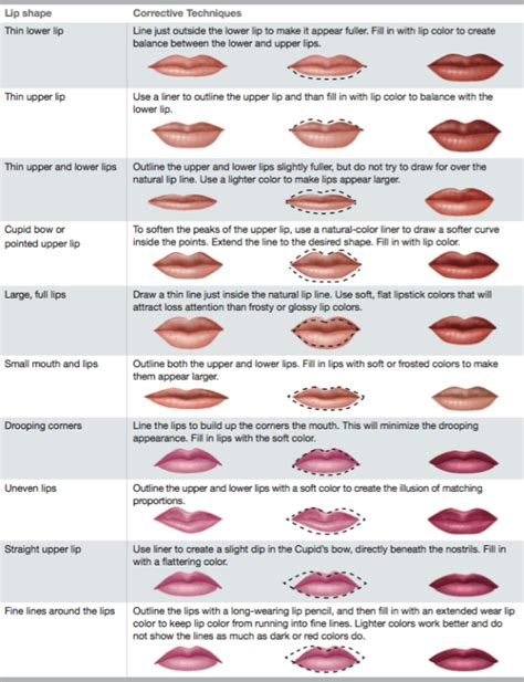 Different Types Of Lips Shapes In Women Types Of Lips Shape Lip