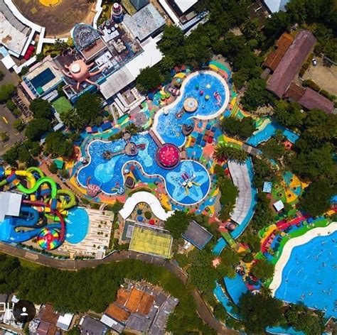 Ocean Park Harga Tiket Seaworld Newstempo Ocean Wildlife List