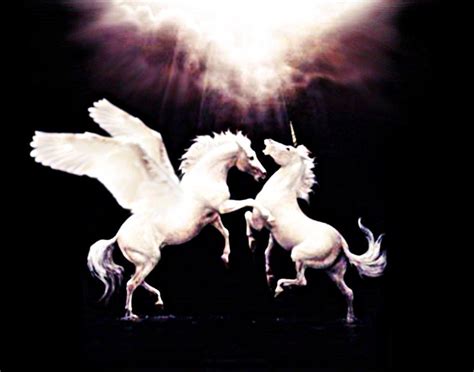 Pegasus Vs Unicorn By Suou Dark Fashion Pegasus