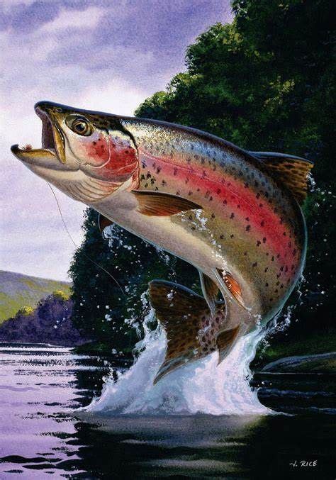 Fishing Girls Gone Fishing Trout Painting Trout Art North American