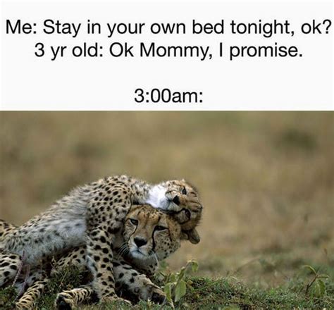 20+ Hilariously Relatable Parent Memes That Are Impossible ...