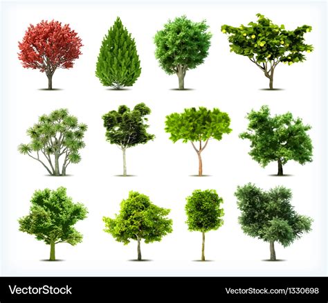 Set Of Trees Isolated Royalty Free Vector Image