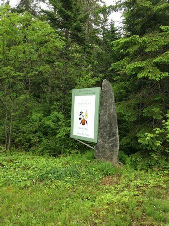 There are loads of white mountain resorts and hotels located in the mount washington valley area, including the north conway grand, red jacket resort, the residence inn, the attitash mountain village, and the attitash grand summit hotel. Bartlett Maine Estate Winery (Gouldsboro) - 2021 All You ...