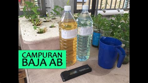 Cubalah guna baja ezigrow untuk hasil tanamam yang memuaskan, tidak perlu lagi tunggu mau bebulan2 untuk tunggu hasil dia. Cara bancuh baja AB #hobihidroponik #bajaAB - YouTube