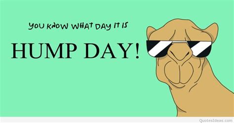 Happy Hump Day Memes Images Humor And Funny Pics