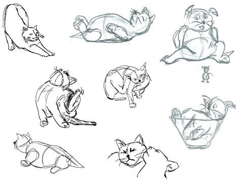 Cat Positions By Csm9044 On Deviantart