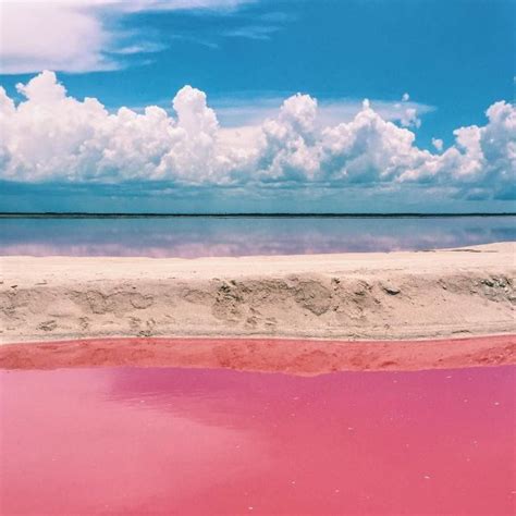 40 Pink Places In The World Made For Instagram Lake Art Landscape