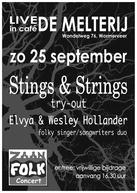 Stings & Strings try-out – ZaanFolk