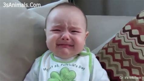 Cutest Babies Crying Moments 👶😭 Baby Awesome Youtube