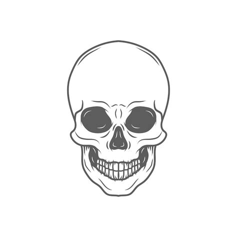 Premium Vector Human Skull Drawing