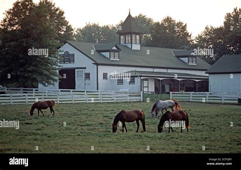 Kentucky Bluegrass Country Horse Farms Lexington Kentucky Usa 1980s