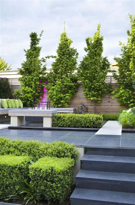 Contemporary Architectural Garden In Kensington West London With