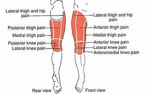 Hip Thigh Knee Trigger Point Diagram Sections Knowledge Pinterest