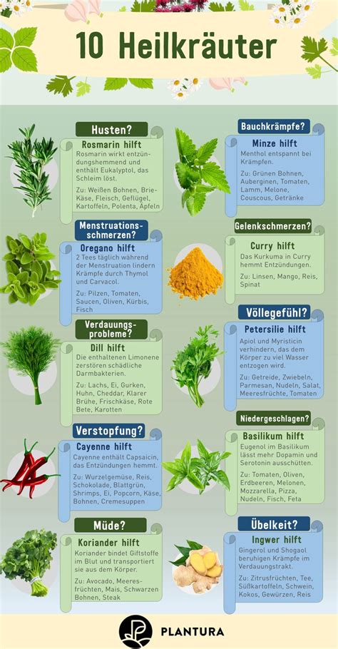 Guter rat aus meiner kräuterbibel für gesundheit und wohlbefinden. Die 10 besten Heilpflanzen aus dem eigenen Garten ...