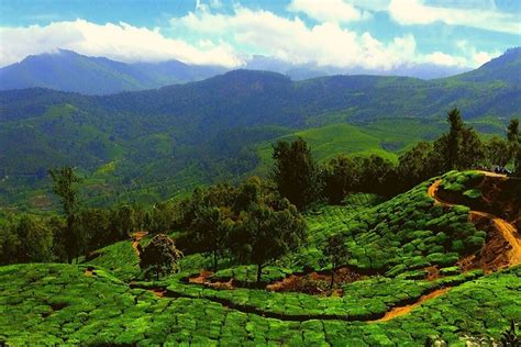 Best Time To Visit Munnar Summer Winter Or Monsoon Tusk Travel Blog