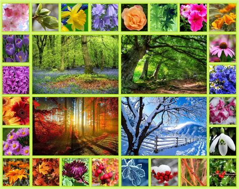 Solve Through The Seasons Jigsaw Puzzle Online With Pieces