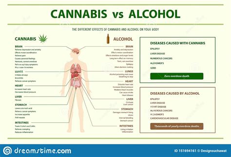 Cannabis Vs Alcohol Horizontal Infographic Stock Vector Illustration Of Benefits Nature