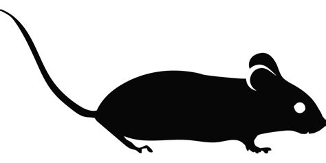 Mouse Silhouette Lab · Free Vector Graphic On Pixabay