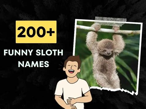 200 Funny Sloth Names Guaranteed To Brighten Your Day