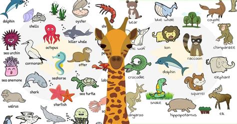 Animal Names: Types Of Animals With List & Pictures (With images