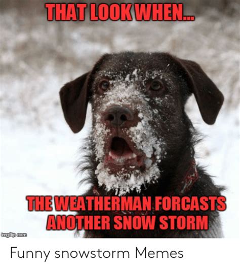 25 Best Memes About Snow Storm Meme Snow Storm Memes