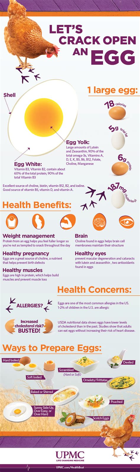 Health Benefits Of Eggs Infographic Upmc Healthbeat