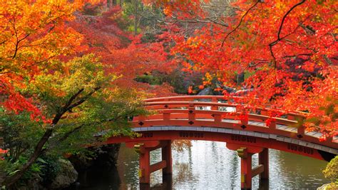 Autumn Japanese Wallpapers Wallpaper Cave