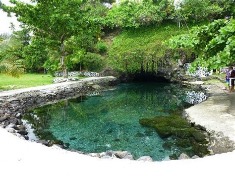 Piula Cave Pool Upolu 2018 All You Need To Know Before