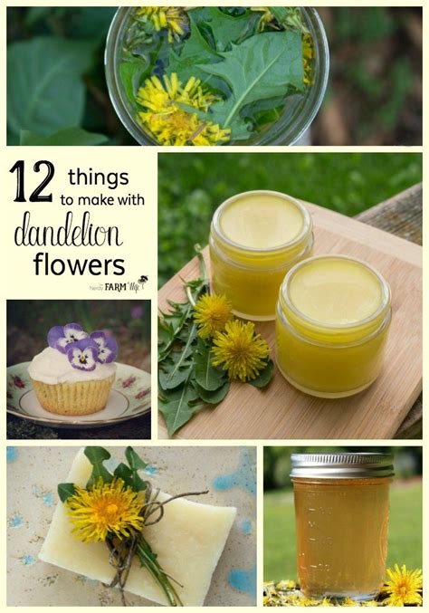 Things To Make With Dandelion Flowers Dandelion Recipes Dandelion