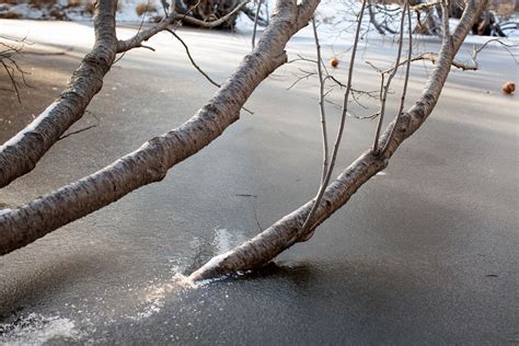 Lake Tahoe Walk