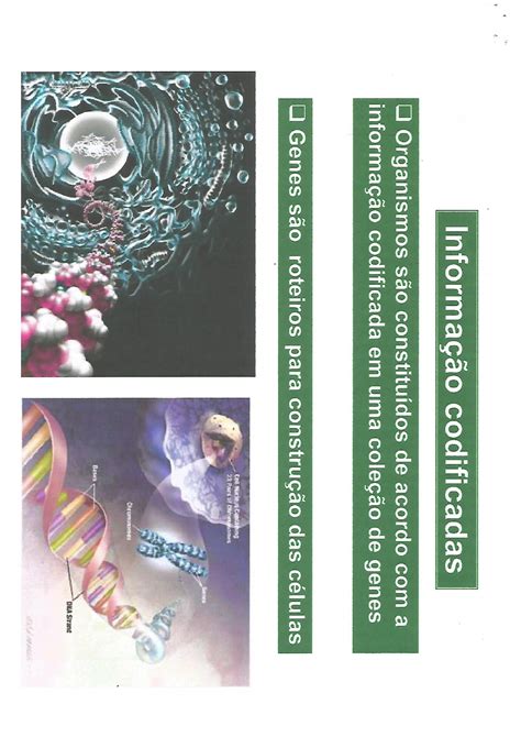 Citologia Histologia E Embriologia