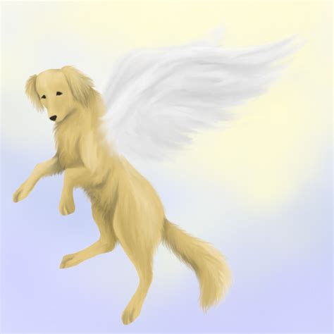 Dog Angel By Settican On Deviantart