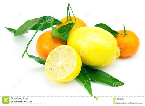 Lemon And Mandarin With Green Leaves Stock Image Image Of Close