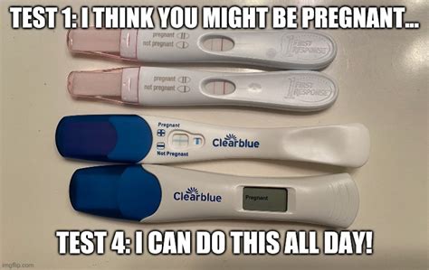 Funny Pregnancy Test Memes
