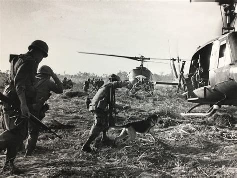 So have patience, my friend. Terry Fincher - "Forced Landing" Signed Silver Gelatin ...