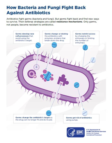Cienciasmedicasnews How Antibiotic Resistance Happens Antibiotic
