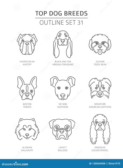 Top Dog Breeds Pet Outline Collection Stock Vector Illustration Of